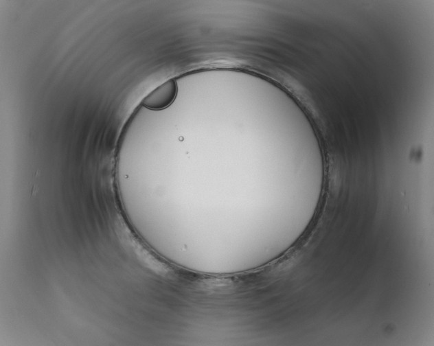 X0000112151186200909041056