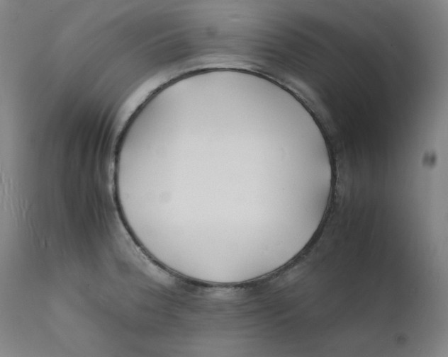 X0000112151188200909041056