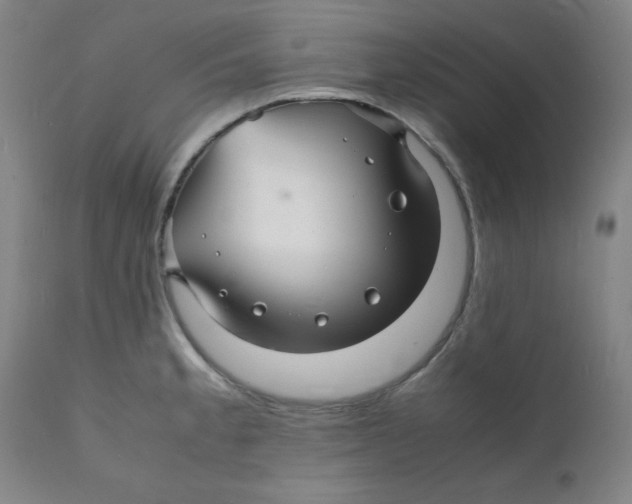 X0000112151189200909041056