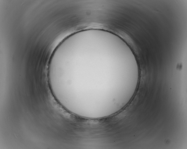 X0000112151190200909041056