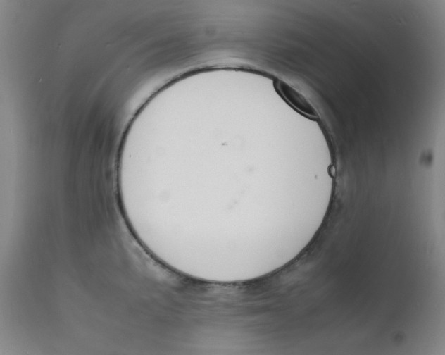 X0000112151191200909041056