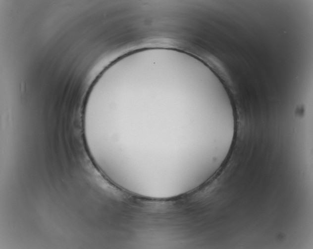 X0000112151192200909041056