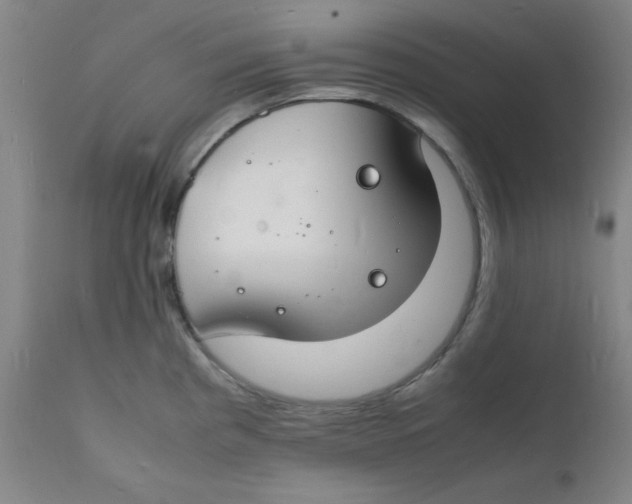 X0000112151193200909041056