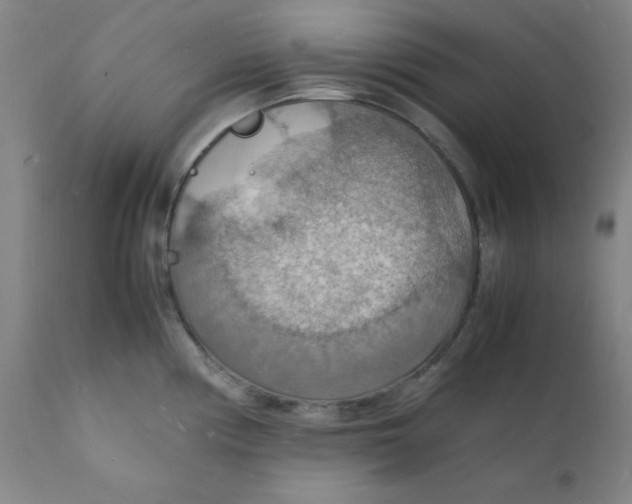 X0000112151194200909041056