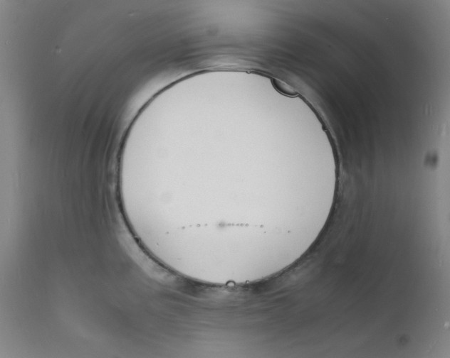 X0000112151195200909041056