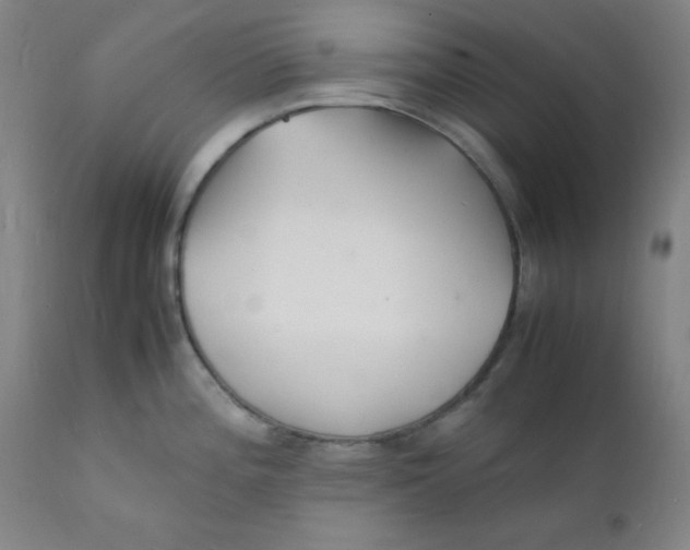 X0000112151196200909041056