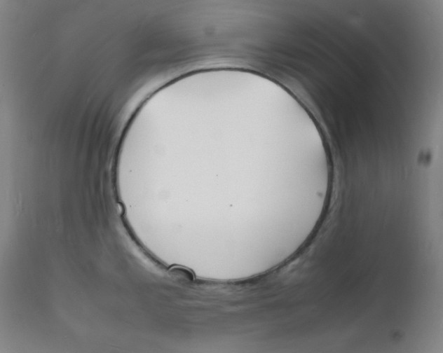 X0000112151197200909041056