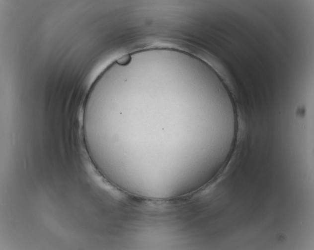 X0000112151198200909041056