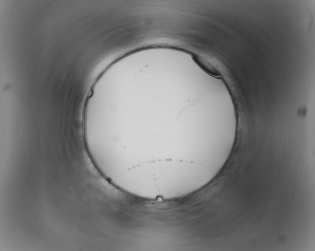 X0000112151199200909041056