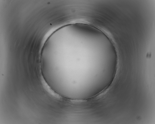 X0000112151200200909041056