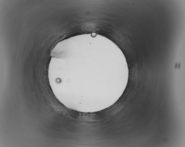 X0000112151201200909041055