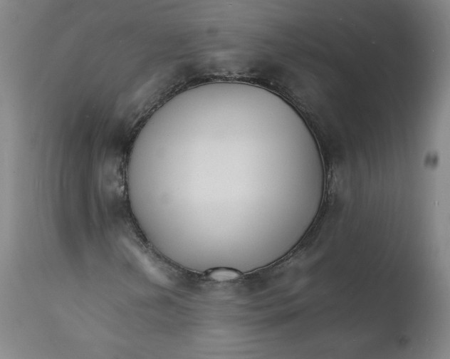 X0000112151202200909041055