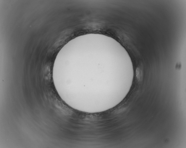 X0000112151203200909041055