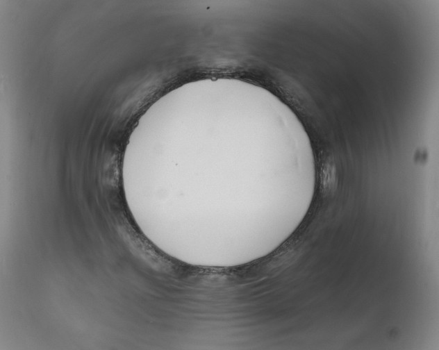 X0000112151204200909041055