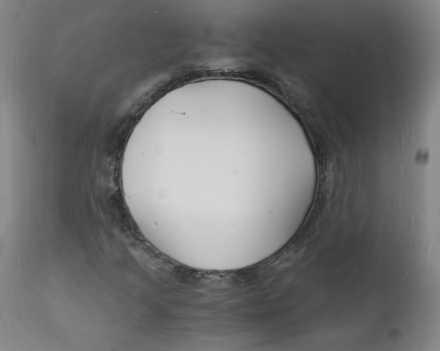 X0000112151205200909041055