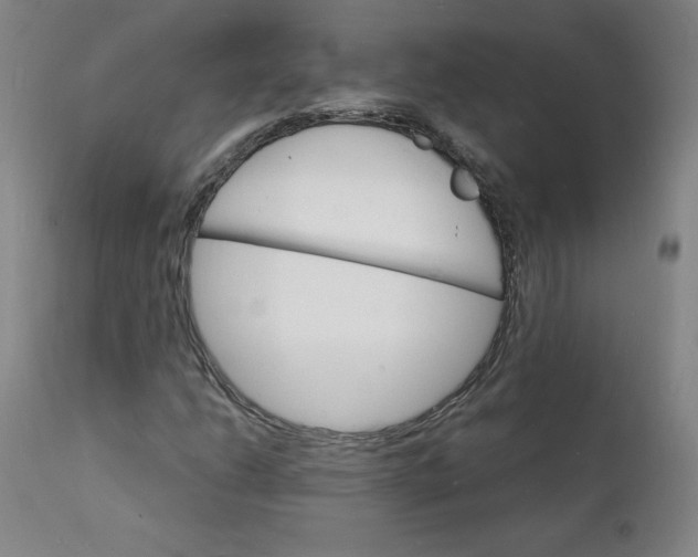 X0000112151206200909041055