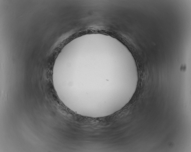 X0000112151207200909041055