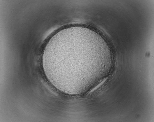 X0000112151208200909041055