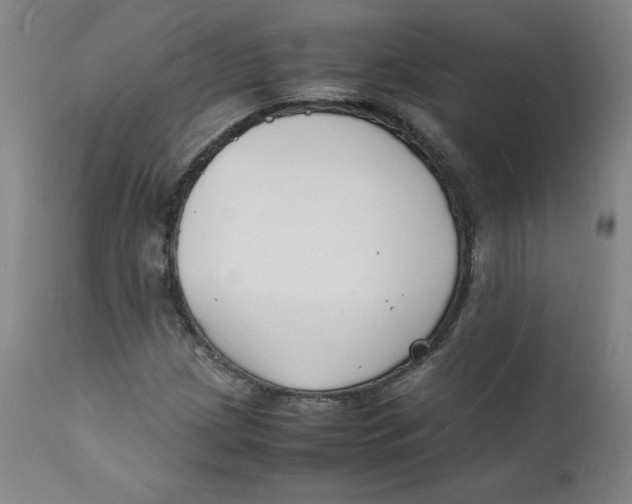 X0000112151209200909041055