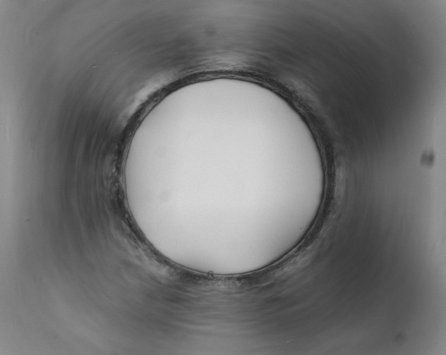 X0000112151210200909041055