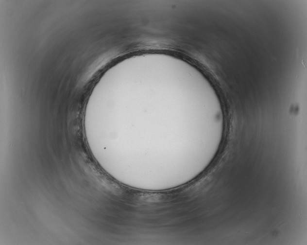 X0000112151211200909041055