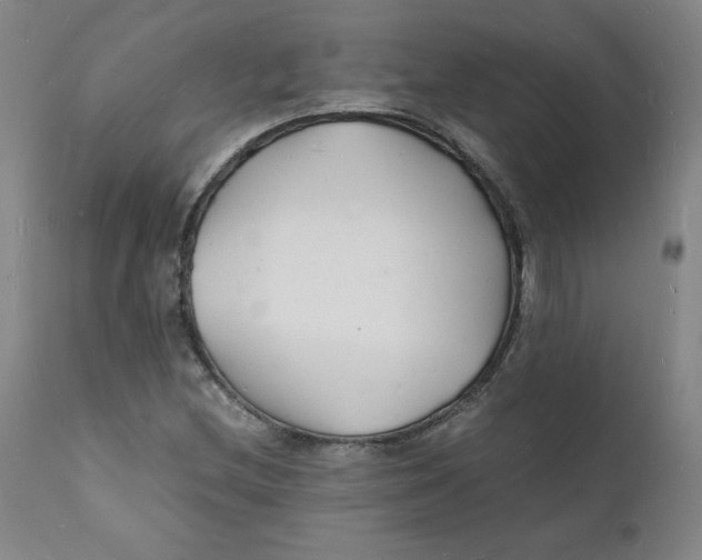 X0000112151212200909041055