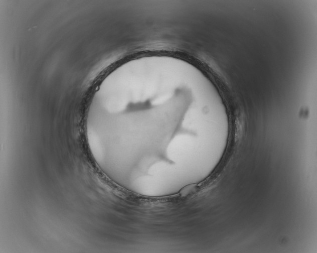 X0000112151213200909041055