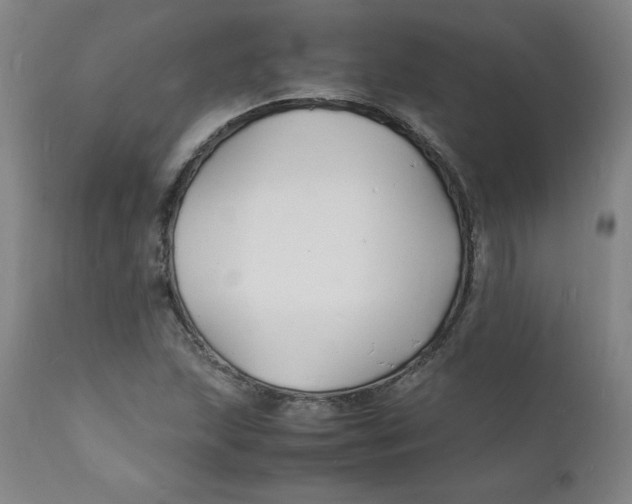 X0000112151215200909041055