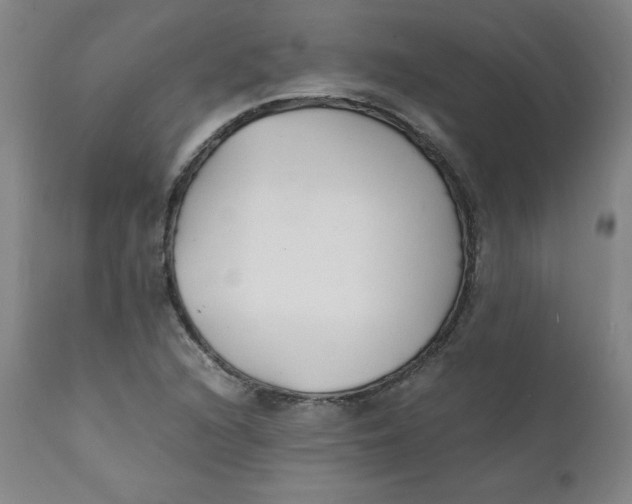 X0000112151216200909041055