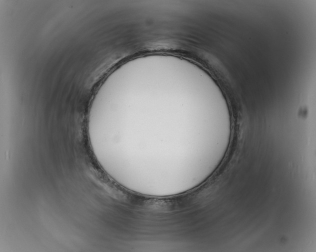 X0000112151217200909041055