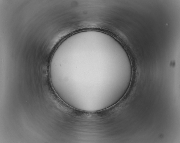 X0000112151218200909041055