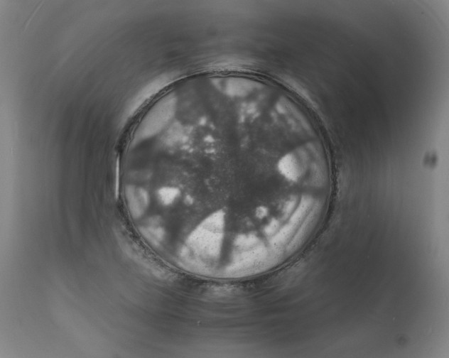 X0000112151219200909041055