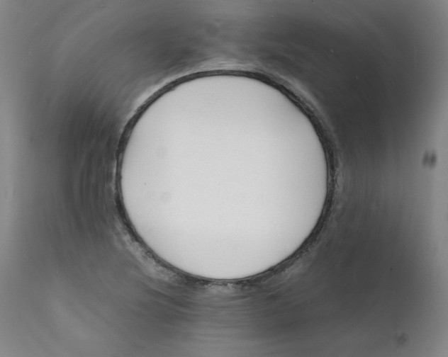 X0000112151220200909041055