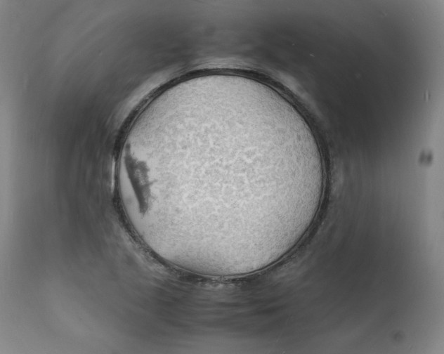 X0000112151221200909041055