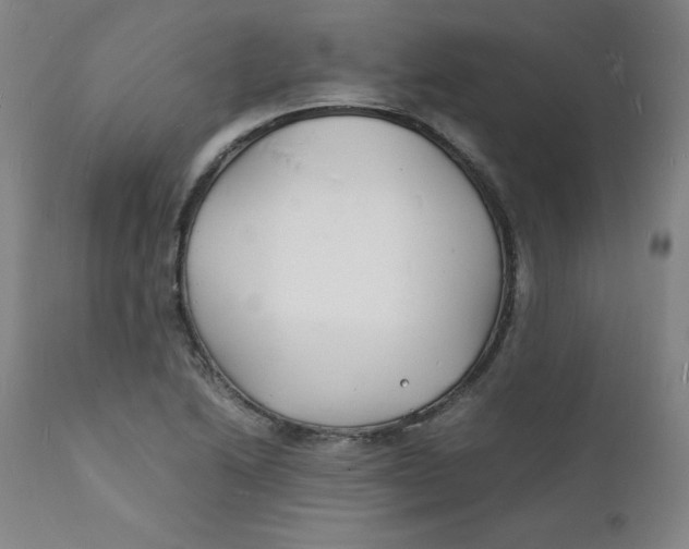 X0000112151222200909041055