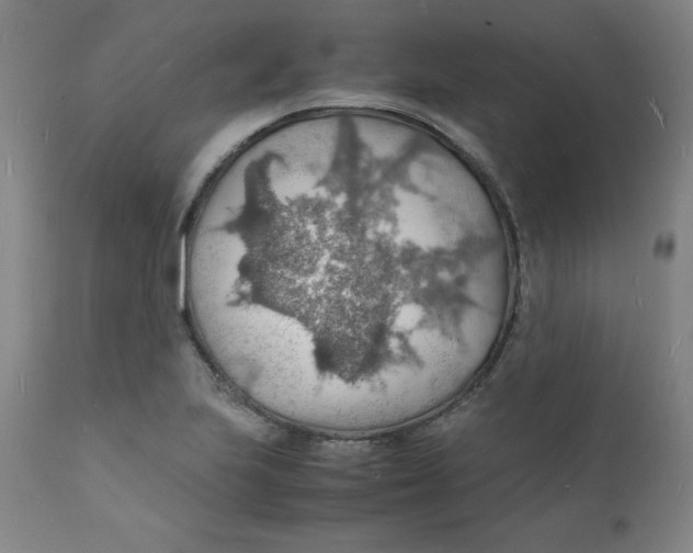 X0000112151223200909041055