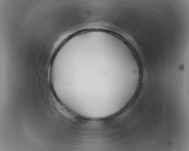 X0000112151224200909041055