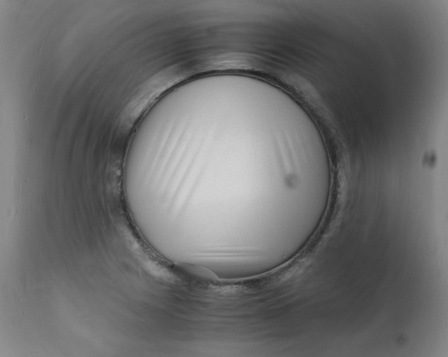 X0000112151225200909041055