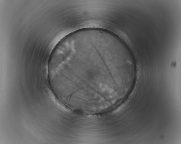 X0000112151226200909041055