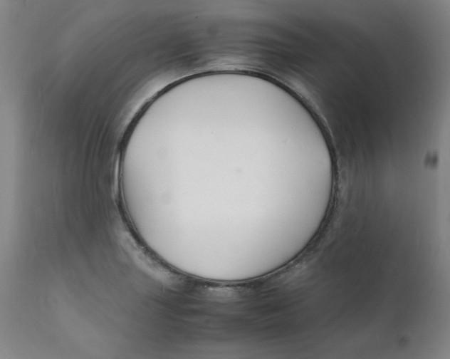 X0000112151227200909041055