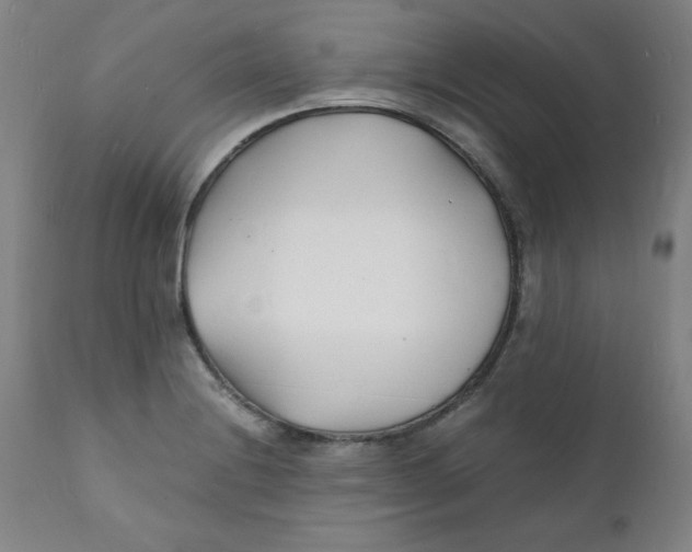 X0000112151228200909041055