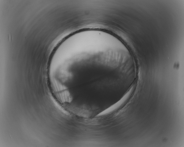 X0000112151229200909041055