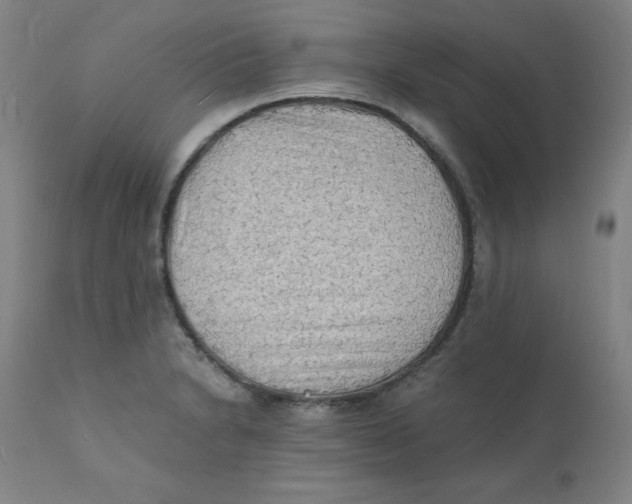 X0000112151230200909041055