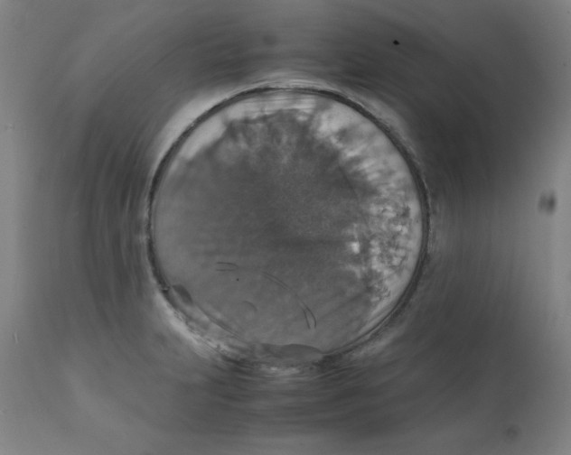 X0000112151231200909041055