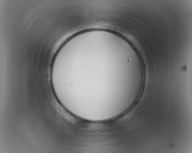 X0000112151232200909041055