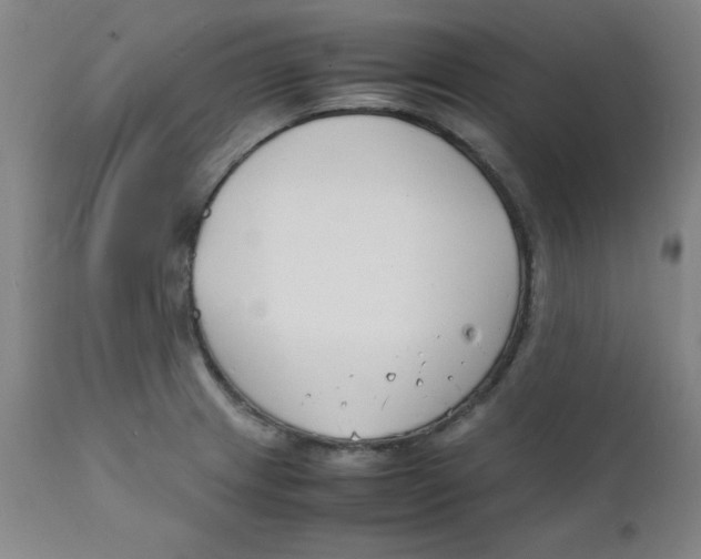 X0000112151233200909041055