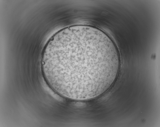 X0000112151235200909041055