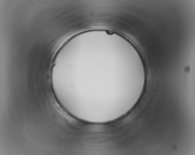 X0000112151236200909041055