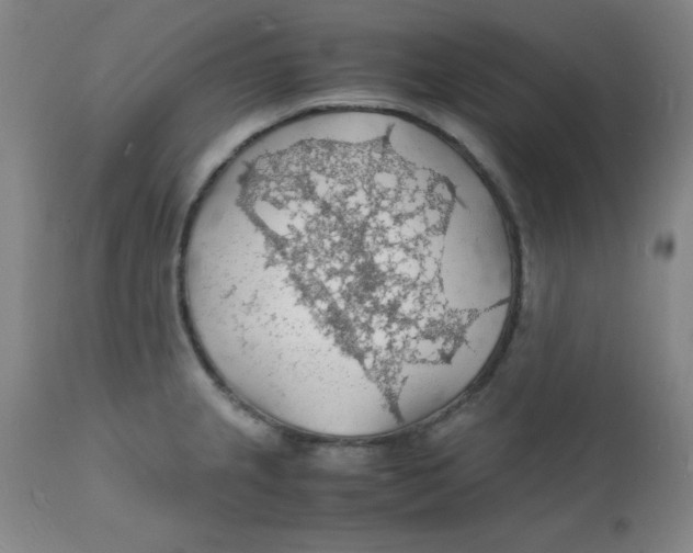 X0000112151237200909041055