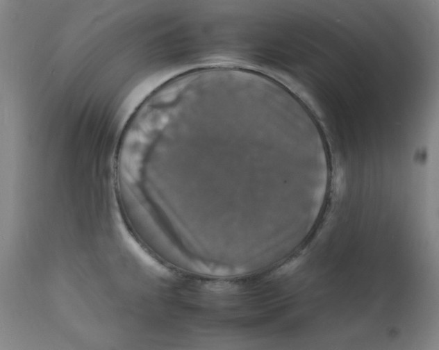 X0000112151239200909041055